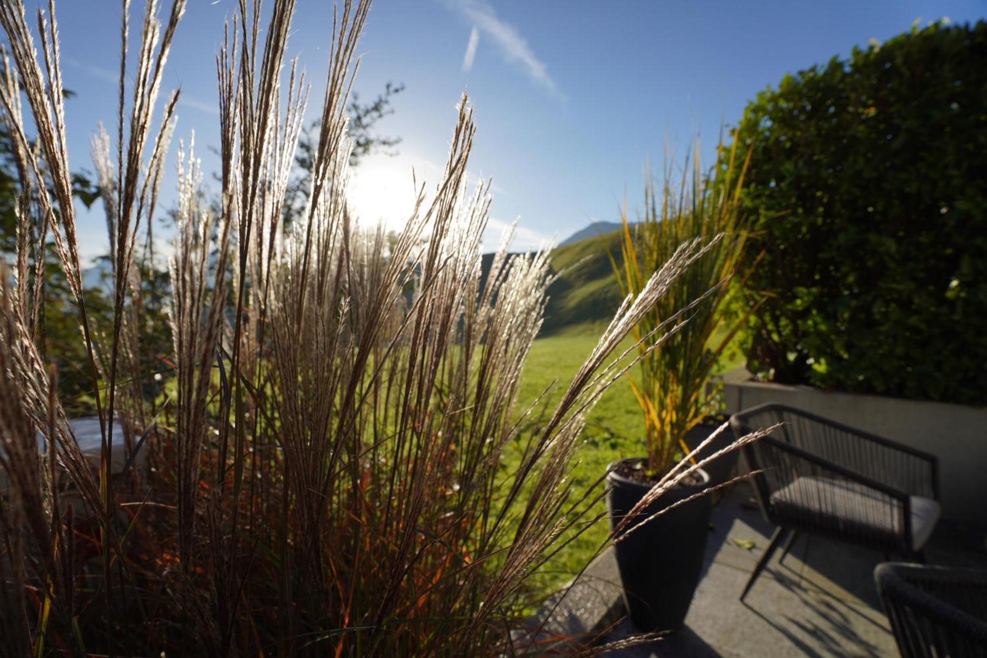 Mid Mountain Apartment Tirol Wiesing Zewnętrze zdjęcie